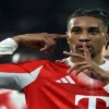 Suspension De Olise 